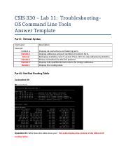 10 Docx CSIS 330 Lab 11 Troubleshooting OS Command Line Tools