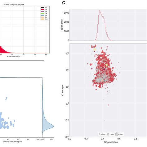 Analysis Of Rhizopus Microsporus Atcc62417 A Variation Versus