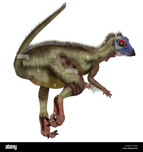 Hypsilophodon Dinosaur Tail Hypsilophodon Was A Omnivorous Ornithopod