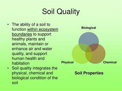 Ppt Soil Quality And Sustainable Agriculture Powerpoint Presentation