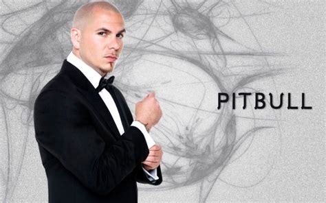 Pitbull Hip Hop Rap Rapper House Pop Wallpapers Hd Desktop And