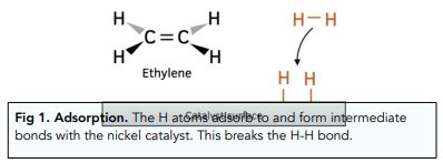 Transition Metals Transition Metals As Heterogeneous Catalysts A