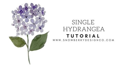 How To Paint A Single Hydrangea Beginner Watercolor Tutorial Youtube