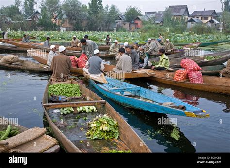 Floating market. Dal Lake. Srinagar. Kashmir. India Stock Photo - Alamy