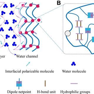 Schematic Of The Molecular Structure And The Basic Structural Units Of