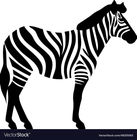 Zebra - high quality logo - ideal for t-shirt Vector Image