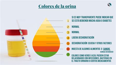 No tires tan rápido de la cadena lo que la orina y las heces dicen de