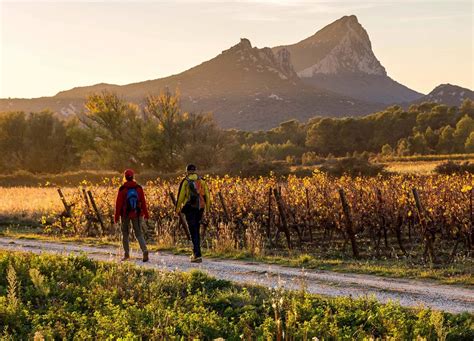 Randonn E Au Pic Saint Loup Itin Raires Et Conseils Terra Tourisme