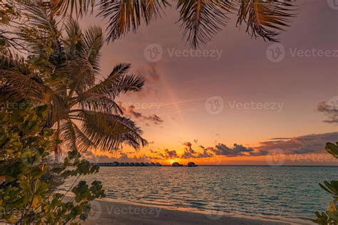 Caribbean Sunset Stock Photos, Images and Backgrounds for Free Download