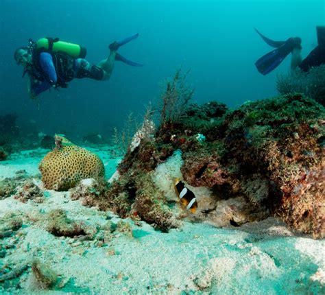 Travel Picnics And Pearl Diving In Jewel Of The Middle East Bahrain