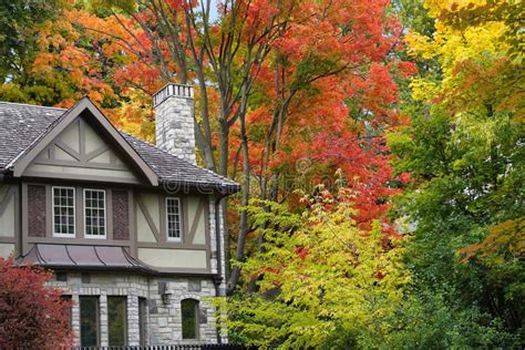 House Surrounded By Trees With Brilliant Fall Colors Stock Image