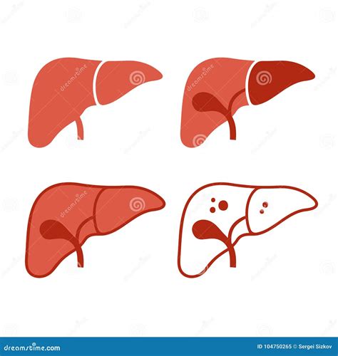 Liver Icon Human Internal Organ Symbol Sign Hepatic Vector Royalty Free Cartoon