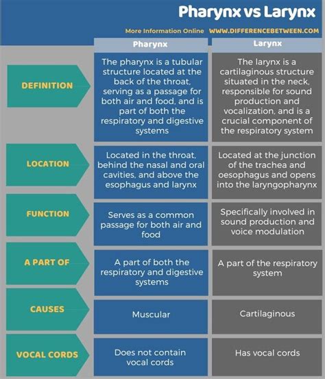 Pharynx vs Larynx - Tabular Form