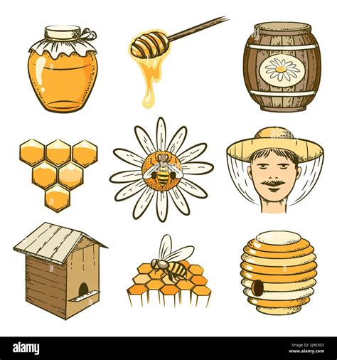 Vector Hand Drawn Beekeeping Honey And Bee Icons Food Sweet Insect