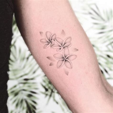 Plumeria Tattoos Tattoo Styles Meanings More Artofit