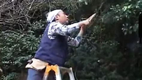 Sensual Japanese Women Kayo Free Mature Porn 3c XHamster