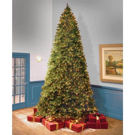 12 Ft Pre Lit Downswept Douglas Fir Artificial Christmas Tree With Clear Lights Lamouren