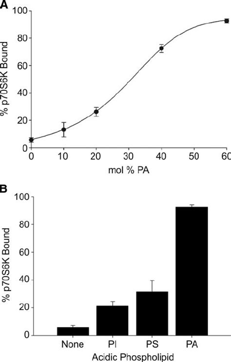 Binding of p70S6K to PA in liposomes. A) Concen- tration curve with PA ... 