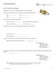 Sex Linked Traits Worksheet Answer Key Worksheet Master