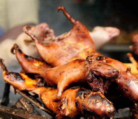 Vores spiselige verden - C&C Travel blog