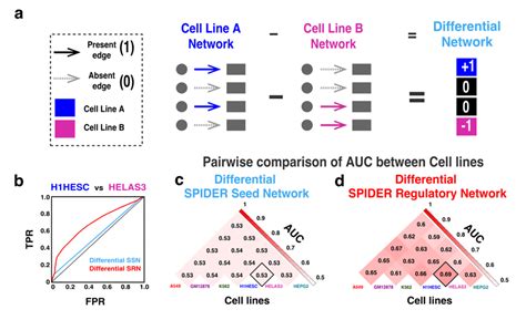 Cell Specific Interactions Predicted By Spider A Illustration Of Our