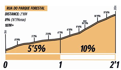 Figueira Champions Classic 2024 Recorrido Perfiles Y Equipos