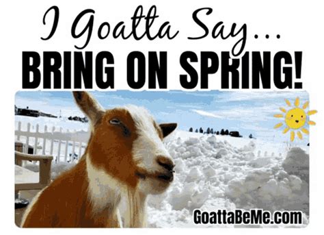 Spring Excited GIF - Spring Excited Animals - Discover & Share GIFs