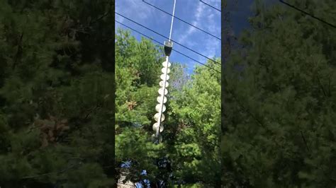 Helicopter Tree Trimming With Treeline Helicopters Youtube