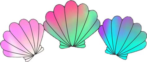 Clipart Shells