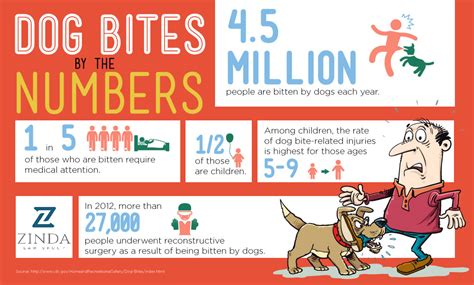 How To File A Dog Bite Report Zinda Law Group