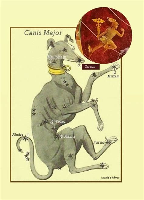 Меркурий и Сириус: новости и собаки