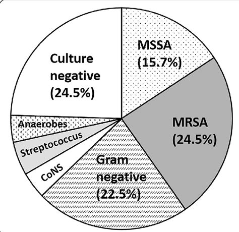 Pie Chart Showing The Percentage Of The Bacterial Populations Isolated