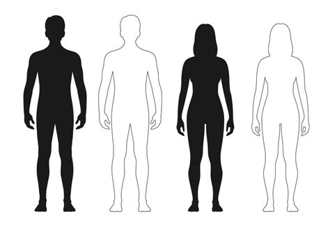 Human body silhouette, man, woman outline figure 39614801 Vector Art at ...