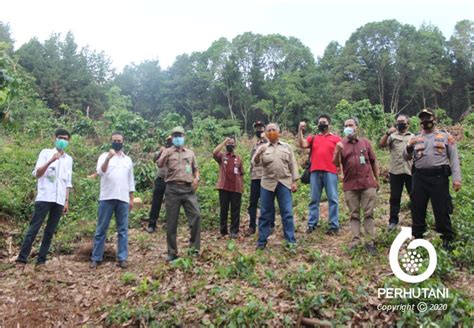 Perhutani Perhutani Menerima Kunjungan Kerja Tim Kementerian LHK Di