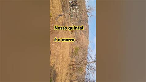 O Morro É Nosso Gurizada É O Buraco Mesmo - Mandacaru e pé do morro é nosso quintal @ComunidadeOraçãoMiseratusPius ...