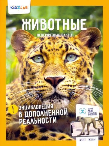Книга: "Новогодние традиции. 250 невероятных фактов. Энциклопедия в ...