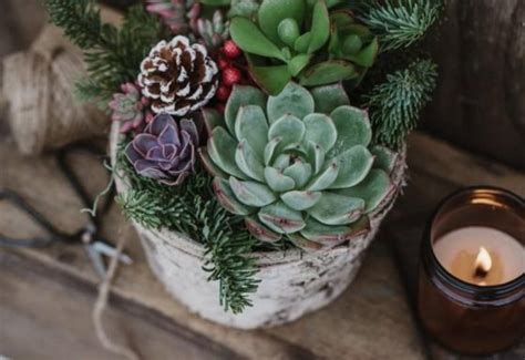 Affordable Christmas Gift Ideas For Gay Brother