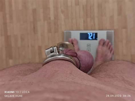 Weighing Cagecheck Stuffed September 28 2023 24 Nude Pics XHamster