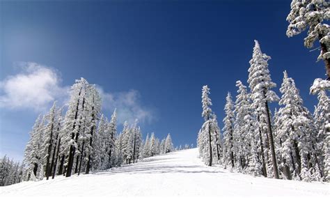 Willamette Pass Ski Area, Oregon - AllTrips