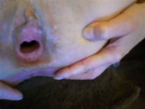 Free Pussy Hole Porn Videos Xhamster