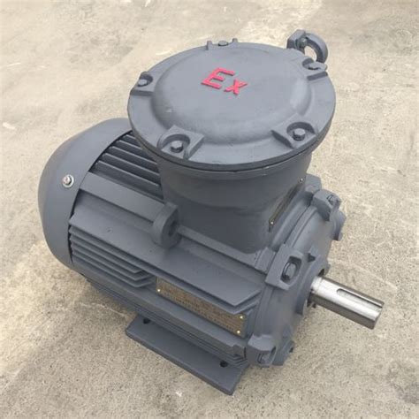 Motor S Ncrono Typ Series Shanghai Electric Heavy Machinery Co