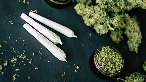 Le Tuto Pour Rouler Un Joint De Cbd Made In Chanvre