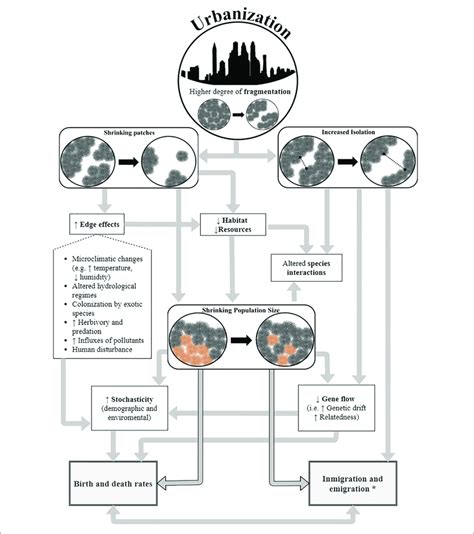 A Conceptual Framework Of Urban Eco Evolutionary Dynamics In The