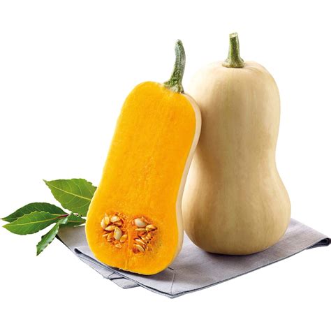 Grow By Obi K Rbis Butternut Topf Ca Cm Cucurbita Maxima