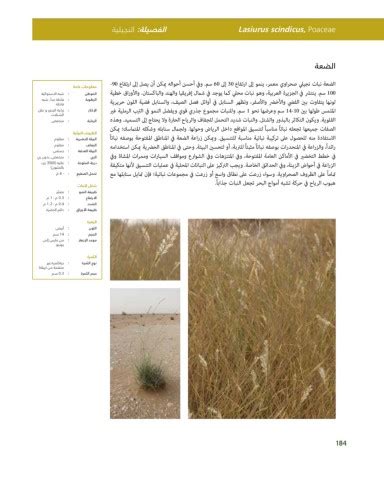 Riyadh Plants Manual Ar Ci Oy الصفحة 185 PDF على الإنترنت