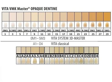 Vita Vmk Master Opaque Dentin M Vita