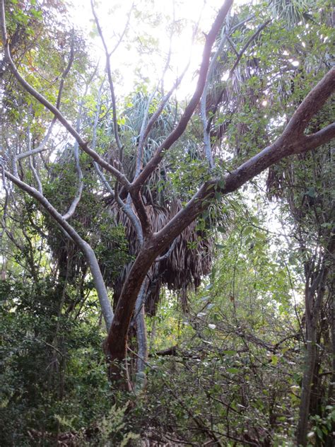 Bill Baggs Cape Florida State Park