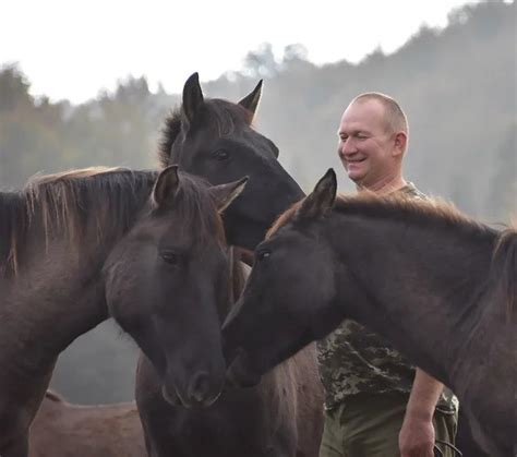 Ретрит в горах чи танці: 5 програм для відновлення військових