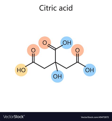 Chemical formula citric acid hand drawn diagram Vector Image