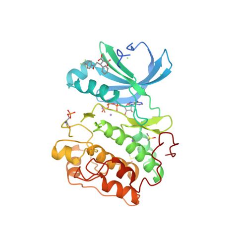 Rcsb Pdb Aw Human Pdk Kinase Domain In Complex With Allosteric